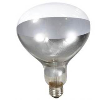 CLEAR BULB FOR BROODER LAMP - 250 WATT - EACH