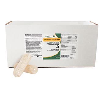 BP-1® ENCAPSULATOR 50/BOX