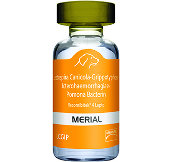 RECOMBITEK® 4 LEPTO 50 X 1 ML DOSE (SOLD IN HAWAII ONLY)