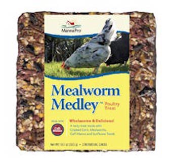 MEALWORM MEDLEY 6.5 OZ CAKE 3 COUNT