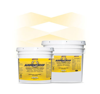 AUGMENT® HOOF SUPPLEMENT 25% PROTEIN 11 LB