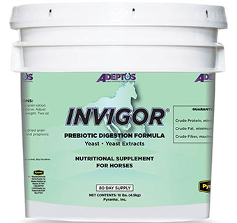 INVIGOR® PREBIOTIC DIGESTION FORMULA 10 LB