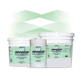 INVIGOR® PREBIOTIC DIGETION FORMULA 20 LB