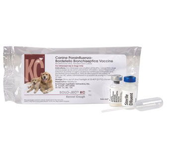 SOLO-JEC® KC 114737 BRONCHISEPTICA VACCINE 1 DS 1/PKG