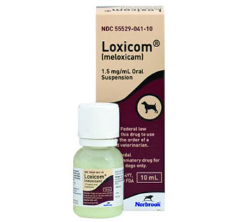 LOXICOM® (MELOXICAM ORAL SUSPENSION) 1.5 MG 10 ML 1/PKG (RX)