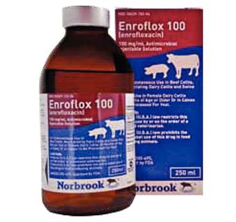 ENROFLOX® 100 (ENROFLOXACIN) INJECTION 100 MG/ML 250 ML 1/PKG (RX)