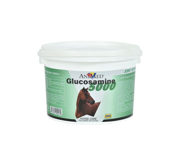 GLUCOSAMINE 5000 POWDER - 5LB - EACH