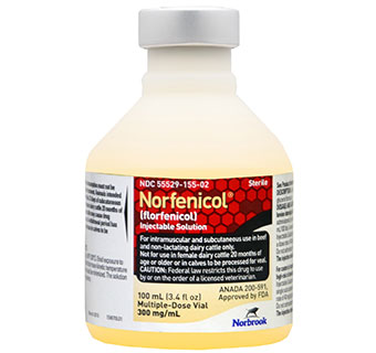 NORFENICOL® (FLORFENICOL) INJECTION 300 MG/ML 100 ML 1/PKG (RX)