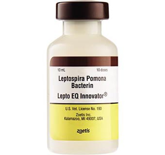 LEPTO EQ INNOVATOR® 10 DOSES