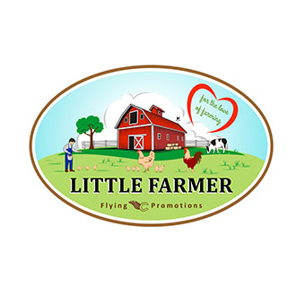 LITTLE FARMER CHICKEN FUN DOO - 3LB - EACH
