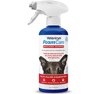 VETERICYN® FOAMCARE SHAMPOO - PET MEDICATED 16 OZ