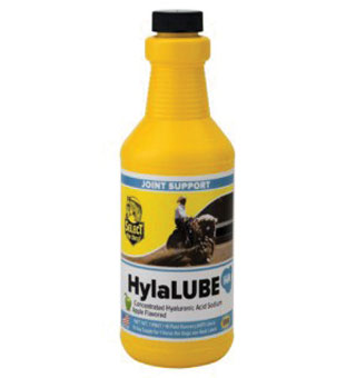 HYLALUBE™ CONCENTRATEDD HYALURONIC ACID 1 PT