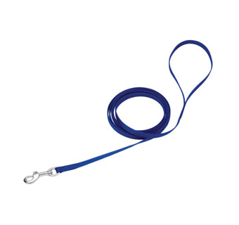 00304 SINGLE-PLY DOG LEASH NYLON 3/8 IN X 4 FT BLUE