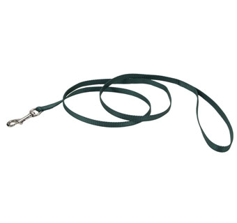 00304 SINGLE-PLY DOG LEASH NYLON 3/8 IN X 4 FT HUNTER GREEN