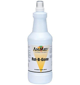 ROT-B-GONE SKIN AND COAT SUPPORT FORMULA 32 OZ