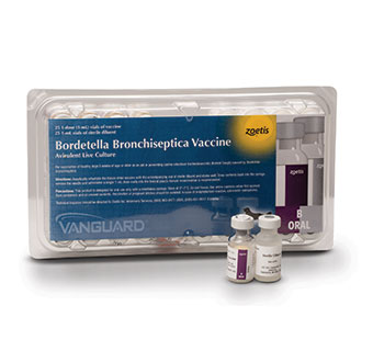 VANGUARD® B ORAL SYRINGE APPLICATOR 25 X 1 DOSE