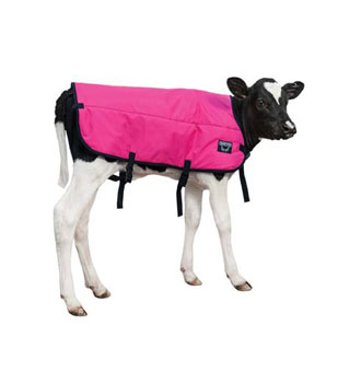 SINGLE INSULATION CALF BLANKET MED 30 IN L PINK