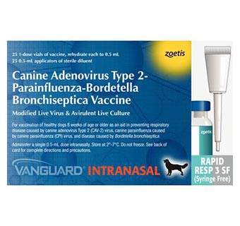 VANGUARD® RAPID RESP 3 SYRINGE-FREE APPLICATOR 25 X 1 DOSE