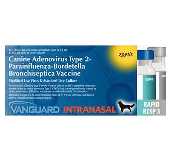VANGUARD® RAPID RESP 3 SYRINGE APPLICATOR 25 X 1 DOSE