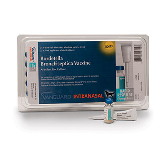 VANGUARD® RAPID RESP B SYRINGE-FREE APPLICATOR 25 X 1 DOSE