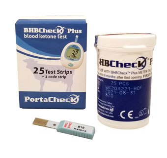 Ketone - Testing