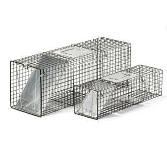 ECONOMY LIVE TRAP 32-1/2 IN L X 11 IN W X 12-1/2 IN H