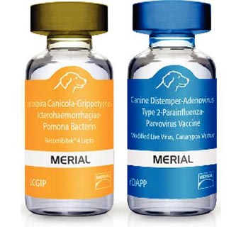 RECOMBITEK® C8 (RDAPP-LCGIP) 25 X 1 DOSE