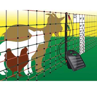 POSITIVE AND NEGATIVE ELECTRIC POULTRY PEN 82 FT L X 40 IN H