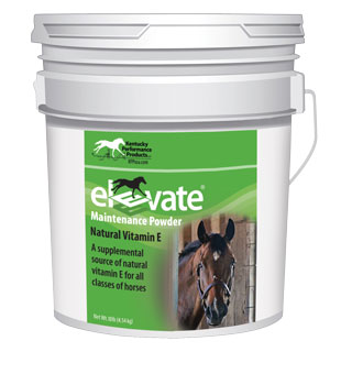 ELEVATE® MAINTENANCE POWDER 10 LB 1/PKG