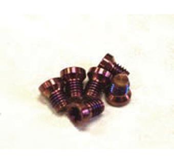 STAINLESS STEEL SHORT SCREW