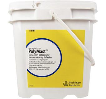 POLYMAST™ INFUSION 10 ML SYRINGE 144/PKG (RX)