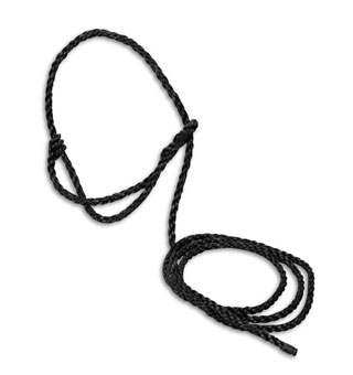 POLY CALF HALTER 6 FT BLACK