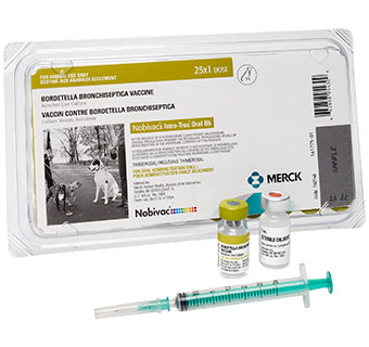 NOBIVAC® INTRA-TRAC ORAL BB 25 X 1 DOSE