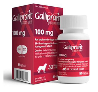 GALLIPRANT® CHEWABLE TABLETS 100 MG 30/BOTTLE (RX)