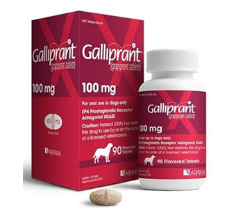 GALLIPRANT® CHEWABLE TABLETS 100 MG 90/BOTTLE (RX)