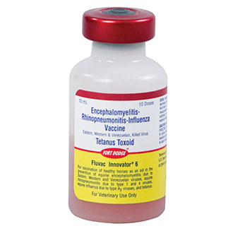 FLUVAC INNOVATOR® 6 10 ML (10 DOSES)