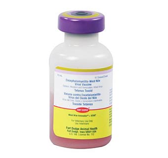 WEST NILE INNOVATOR™ + VEWT 10 ML (10 DOSES)