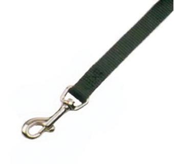 722 SINGLE LAYER DOG LEASH NYLON 5/8 IN X 4 FT LIME GREEN