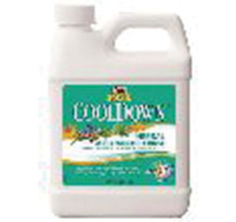 ABSORBINE® COOLDOWN™ HERBAL RINSE 32 OZ 1/PKG