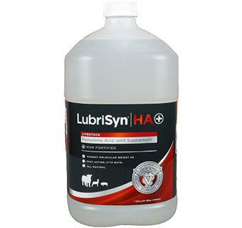 LUBRISYN® HA PLUS LIVESTOCK JOINT SUPPLEMENT WITH MSM 1 GALLON W/PUMP 1/PKG