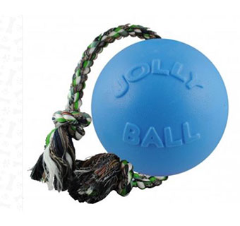 JOLLY BALL™ ROMP-N-ROLL  - 4.5IN - BLUEBERRY - EACH