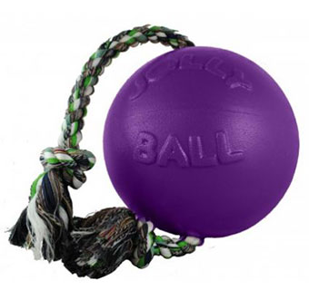 JOLLY BALL™ ROMP-N-ROLL  - 4.5IN - PURPLE - EACH