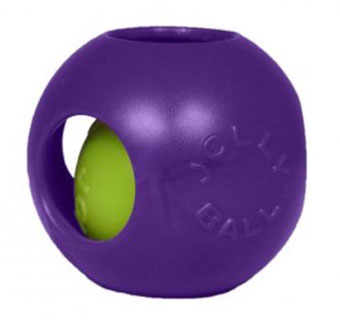 JOLLY BALL™ TEASER BALL - 10IN - PURPLE - EACH