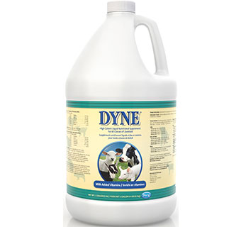 DYNE® HIGH CALORIE LIQUID FOR LIVESTOCK GALLON 1/PKG