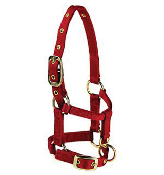 LH LLAMA HALTER WITH ADJUSTABLE CHIN AND EXTRA HOLE RED