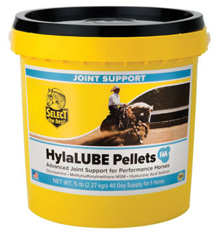 HYLALUBE™ JOINT SUPPORT SUPPLEMENT 10 LB
