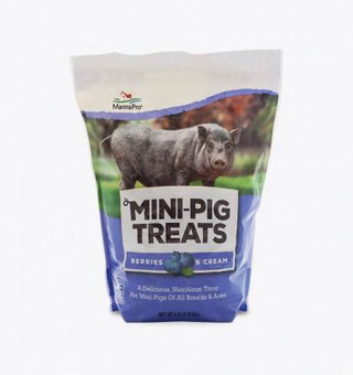 MINI-PIG TREAT SUPPLEMENT 12% PROTEIN 1% FAT BERRIES/CREAM 4 LB