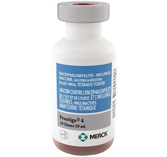 PRESTIGE® 4 10 ML 1/PKG