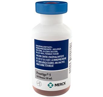 PRESTIGE® 5 10 ML 1/PKG