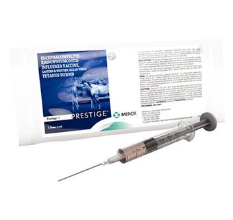 PRESTIGE® 5 10 X 1 ML